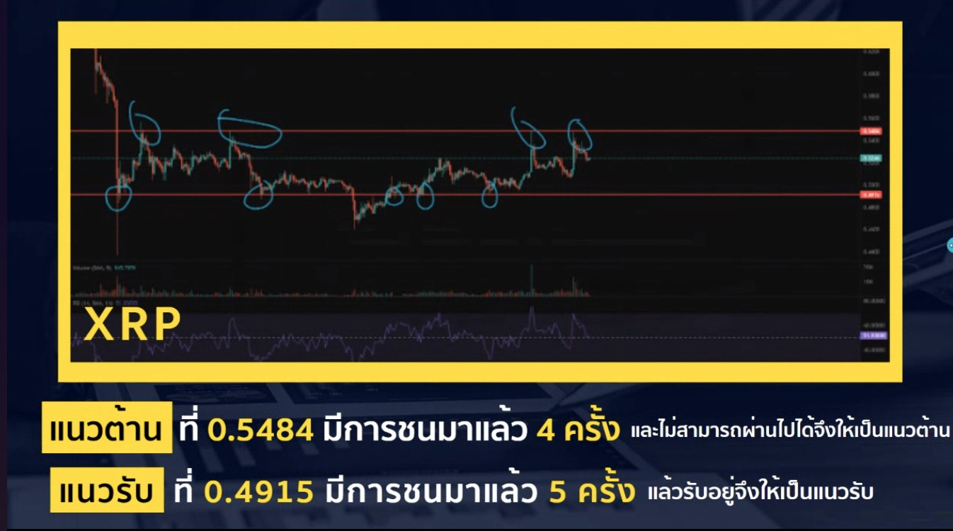 มาเรียนรู้การเทรดเบื้องต้น กับ Bittoon Trading Club